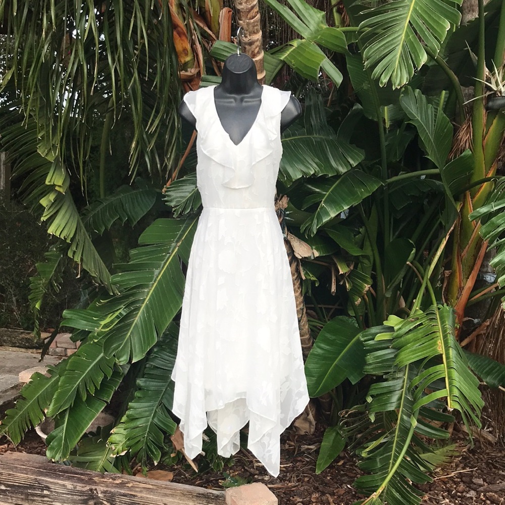 Kenzie handkerchief, hem  sheer chiffon Jacquard dress